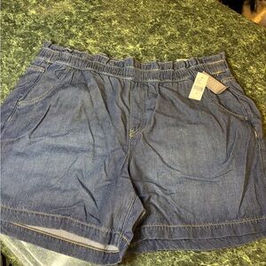 Lane Bryant Blue Jean Shorts
